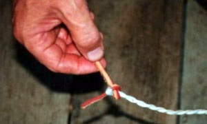 bullwhip stockwhip