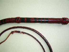 Uluru fancy bullwhip